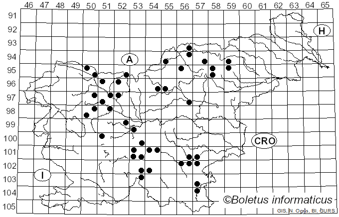 <i>Butyriboletus subappendiculatus</i> (Dermek, Lazebn. & J. Veselský) D. Arora & J.L. Frank (2014)