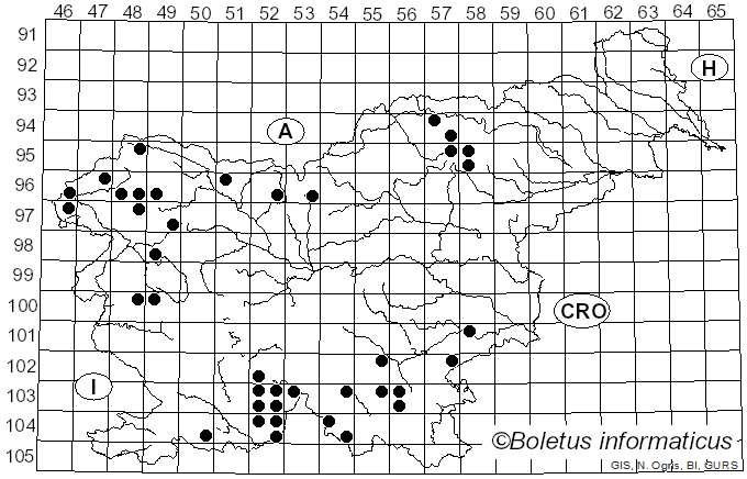 <i>Lobaria pulmonaria</i> (L.) Hoffm. (1796)