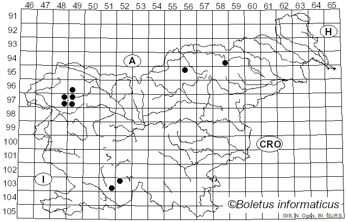 <i>Scoliciosporum umbrinum</i> (Ach.) Arnold (1871)