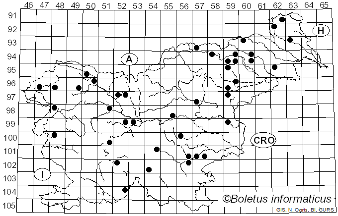 <i>Collybia rivulosa</i> (Pers.) Z.M. He & Zhu L. Yang (2023)