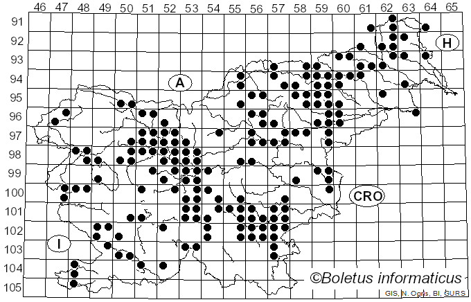 <i>Tricholoma columbetta</i> (Fr.) P. Kumm. (1871)