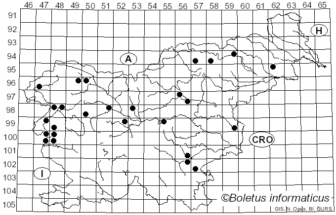 <i>Melanophyllum</i> Velen. (1921)