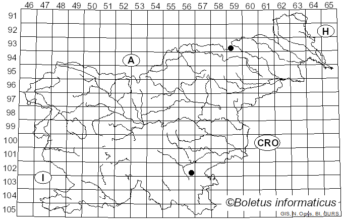 <i>Tephrocybe oldae</i> Svrcek (1972)