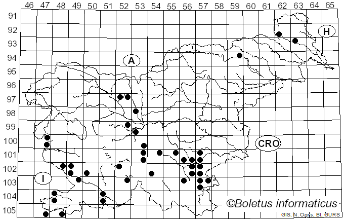 <i>Hygrophorus persoonii</i> Arnolds (1979)