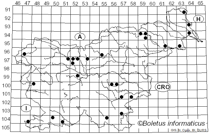 <i>Hortiboletus</i> Simonini, Vizzini & Gelardi (2015)