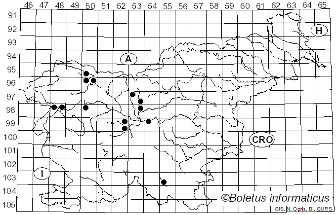 <i>Cucurbitaria</i> Gray (1821)