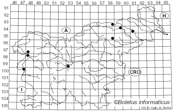 <i>Cortinarius castaneus</i> (Bull.) Fr. (1838)