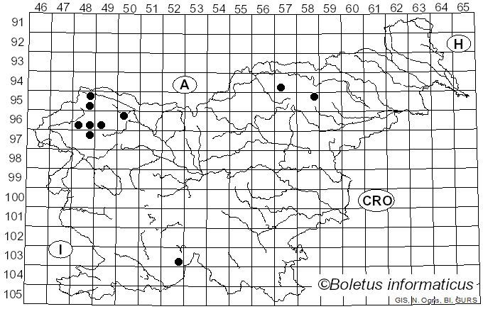 <i>Micarea peliocarpa</i> (Anzi) Coppins (1983)
