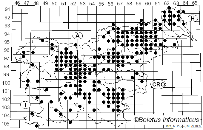 <i>Sparassis</i> Fr. (1819)