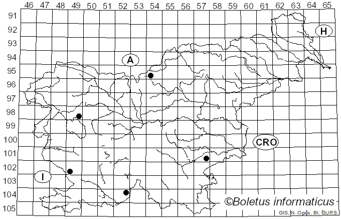 <i>Calonarius corrosus</i> (Fr.) Niskanen & Liimat. (2022)