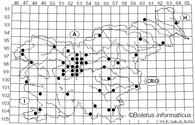 <i>Mitrophora</i> Lév. (1846)