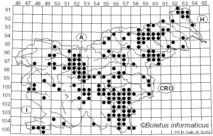 <i>Trichaptum biforme</i> (Fr.) Ryvarden (1972)