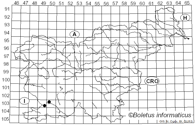 <i>Leucocybe houghtonii</i> (W. Phillips) Halama & Pencakowski (2017)