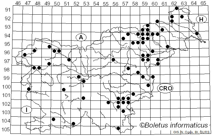 <i>Stereum gausapatum</i> (Fr.) Fr. (1874)