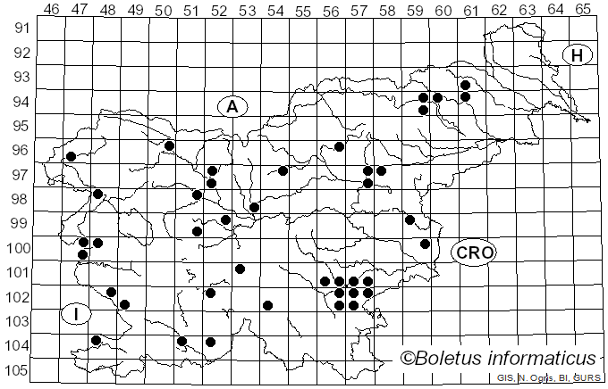 <i>Calonarius splendens</i> (Rob. Henry) Niskanen & Liimat. (2022)