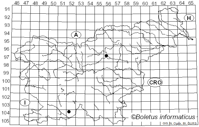 <i>Coprinellus heptemerus</i> (M. Lange & A.H. Sm.) Vilgalys, Hopple & Jacq. Johnson (2001)