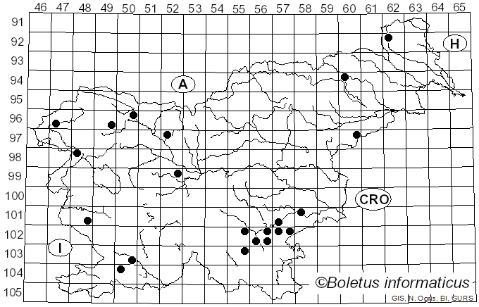 <i>Phlebia rufa</i> (Pers.) M.P. Christ. (1960)