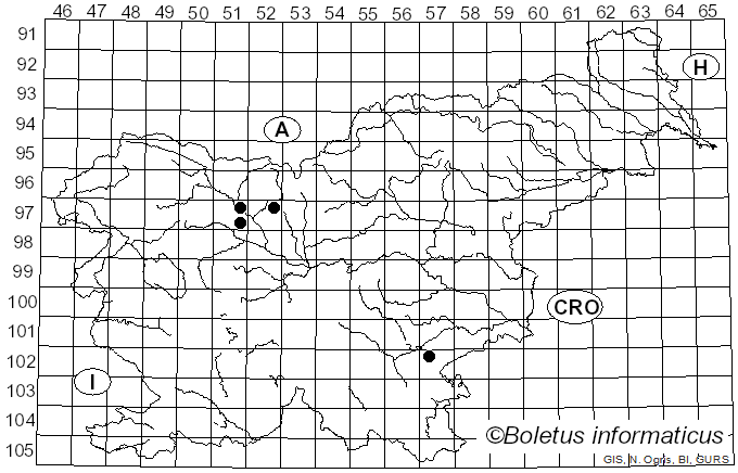<i>Oxyporus latemarginatus</i> (Durieu & Mont.) Donk (1966)