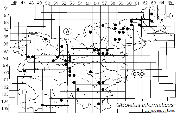 <i>Cortinarius mucifluus</i> Fr. (1838)