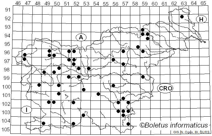 <i>Apioperdon</i> (Kreisel & D. Krüger) Vizzini (2017)