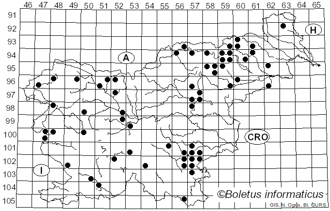 <i>Hydnellum concrescens</i> (Pers.) Banker (1906)
