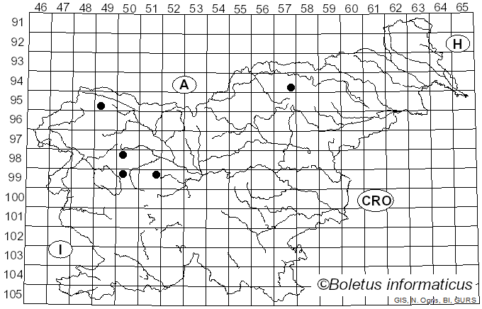 <i>Alectoria jubata</i> (L.) Ach. (1810)