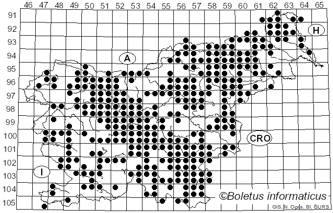 <i>Hypholoma</i> (Fr.) P. Kumm. (1871)