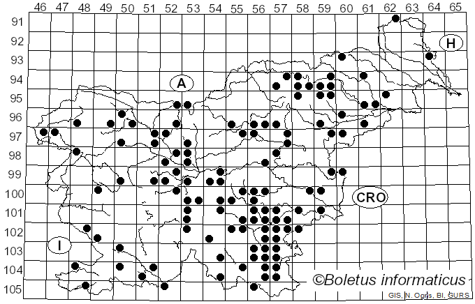 <i>Pleurotus pulmonarius</i> (Fr.) Quél. (1872)