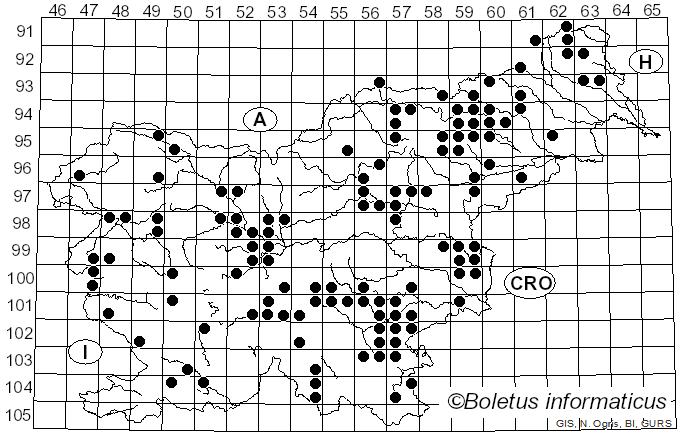 <i>Lactarius subdulcis</i> (Bull.) Gray (1821)