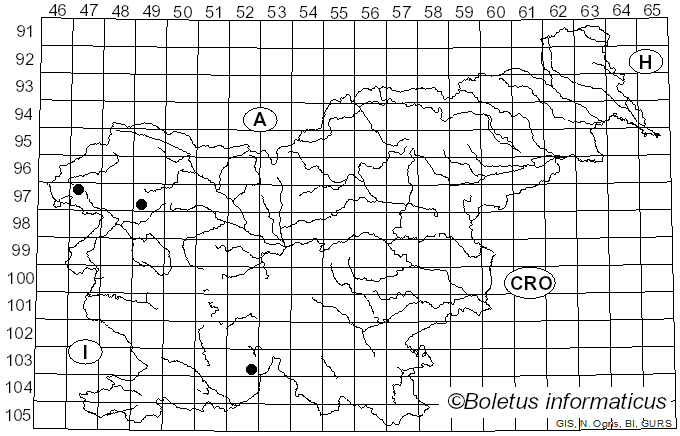 <i>Collema subflaccidum</i> Degel. (1974)