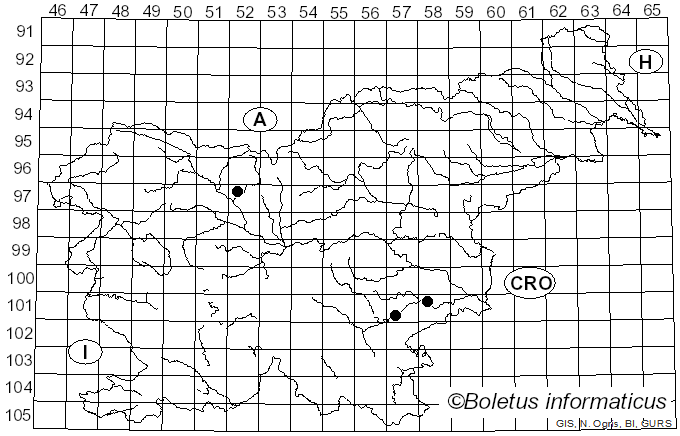 <i>Tremella steidleri</i> (Bres.) Bourdot & Galzin (1928)