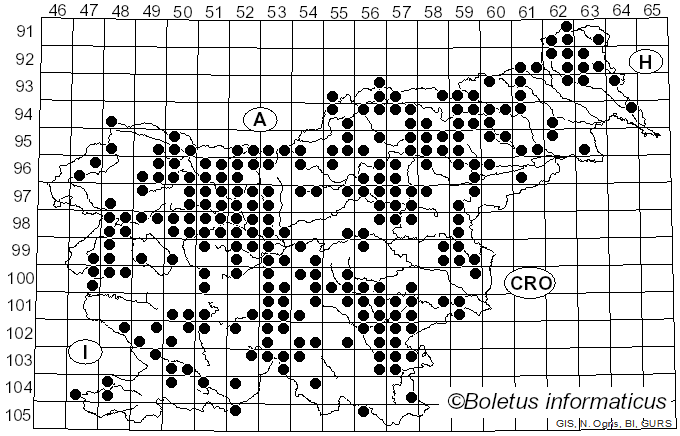 <i>Amanita muscaria</i> (L.) Lam. (1783)