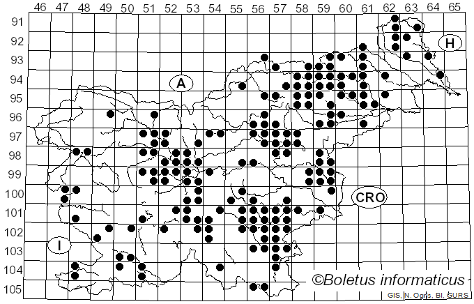 <i>Russula atropurpurea</i> (Krombh.) Britzelm. (1893)