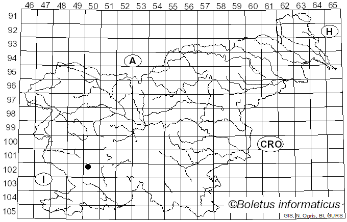 <i>Uromyces tuberculatus</i> Fuckel (1870)