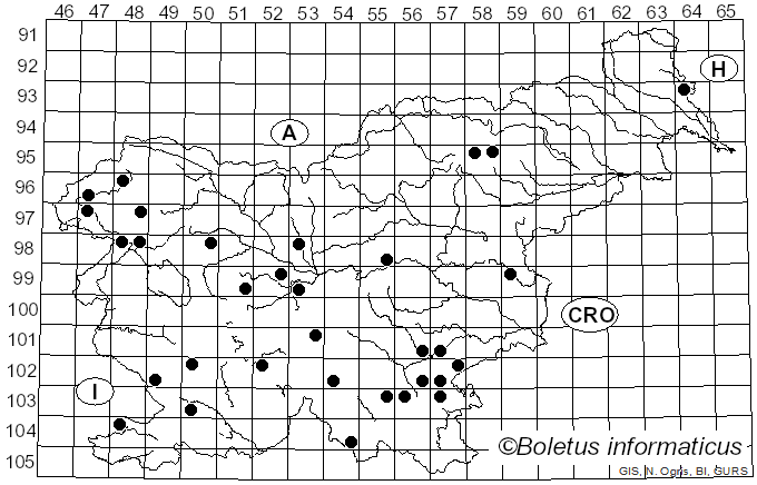 <i>Lactarius rubrocinctus</i> Fr. (1863)
