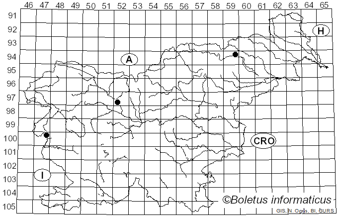 <i>Cortinarius pseudonapus</i> Rob. Henry (1943)