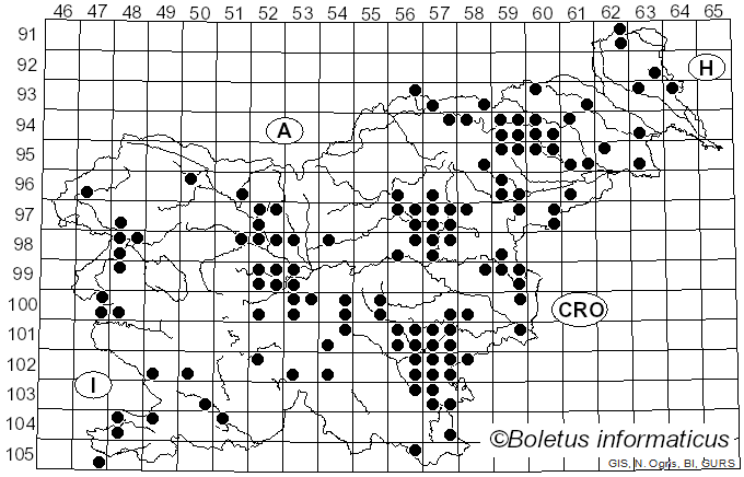 <i>Meripilus giganteus</i> (Pers.) P. Karst. (1882)