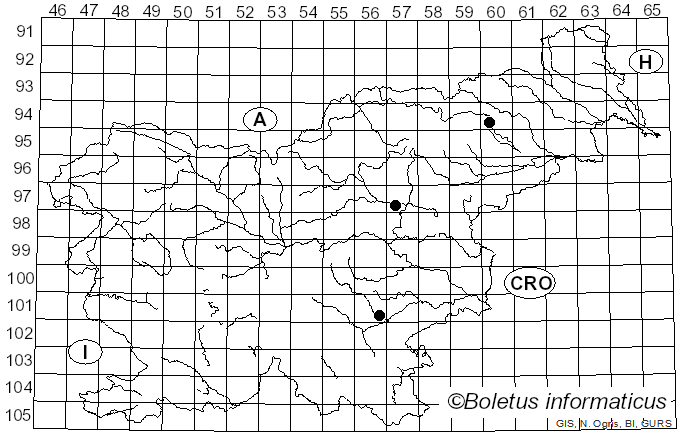 <i>Leratiomyces squamosus</i> (Pers.) Bridge & Spooner (2008)