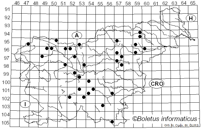 <i>Melanoleuca cognata</i> (Fr.) Konrad & Maubl. (1927)