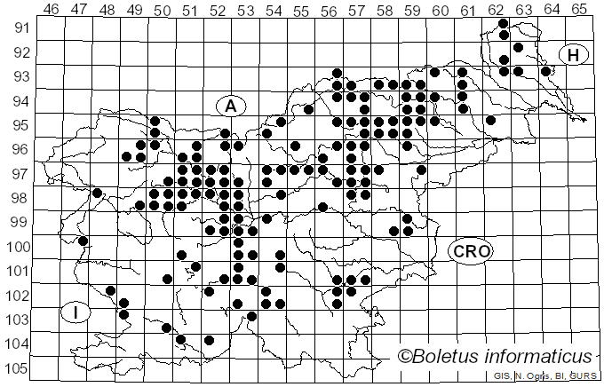 <i>Albatrellopsis confluens</i> (Alb. & Schwein.) Teixeira (1993)