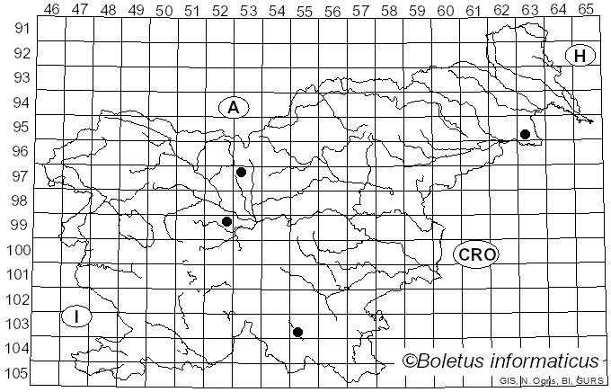 <i>Discosia</i> Lib. ex Durieu & Mont. (1849)