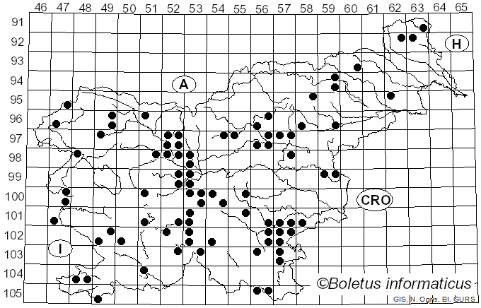 <i>Tricholoma atrosquamosum</i> (Chevall.) Sacc. (1887)