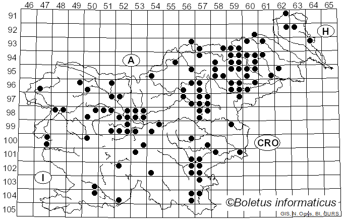 <i>Pseudoboletus parasiticus</i> (Bull.) Šutara (1991)