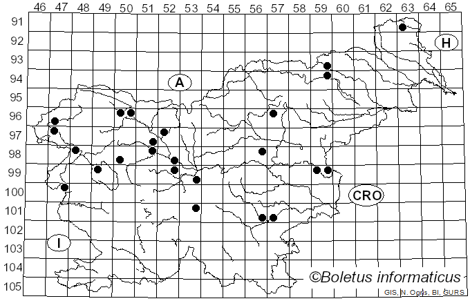 <i>Porpolomopsis calyptriformis</i> (Berk.) Bresinsky (2008)