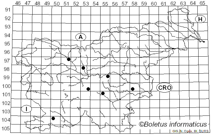 <i>Oligonema persimile</i> (P. Karst.) García-Cunch., J.C. Zamora & Lado (2022)