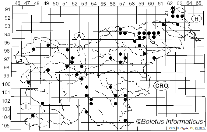 <i>Hydnellum ferrugineum</i> (Fr.) P. Karst. (1880)