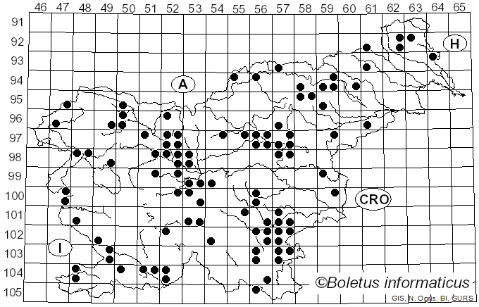 <i>Cantharellus cinereus</i> (Pers.) Fr. (1821)