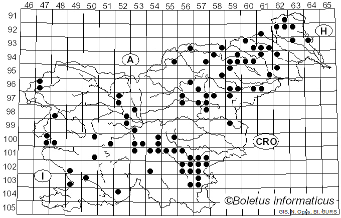 <i>Inocybe asterospora</i> (Quél.) Quél. (1979)
