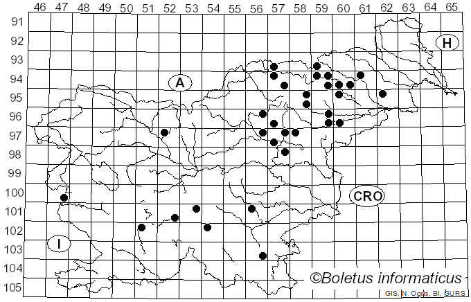 <i>Bovista pusilla</i> (Batsch) Pers. (1801)