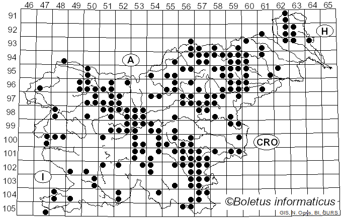 <i>Russula grata</i> Britzelm. (1898)